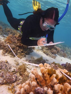 UQ PhD candidate Kristen Brown investigating coral-algal interactions